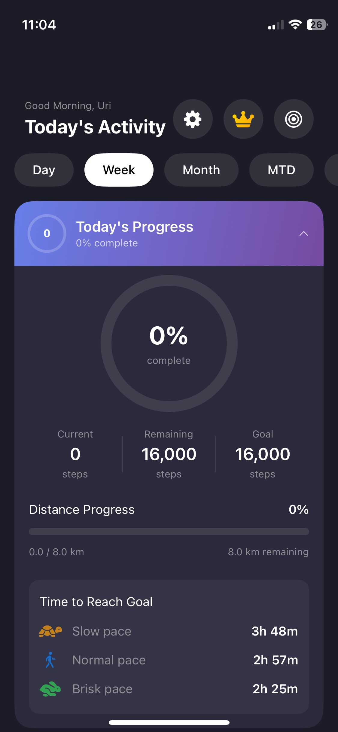 Daily Steps Tracking